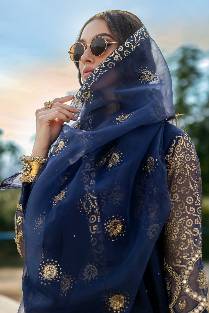 Embroidered Organza Blue Stitched Suit - Charizma