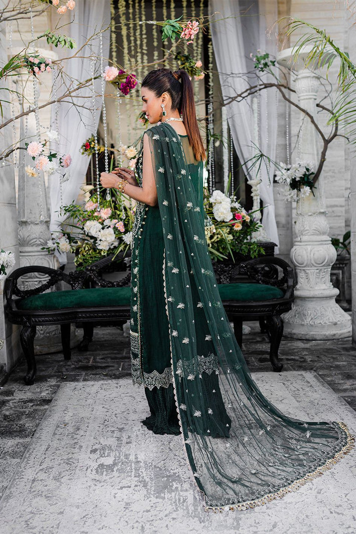Chiffon Green 3 Piece Suit - Raqsam