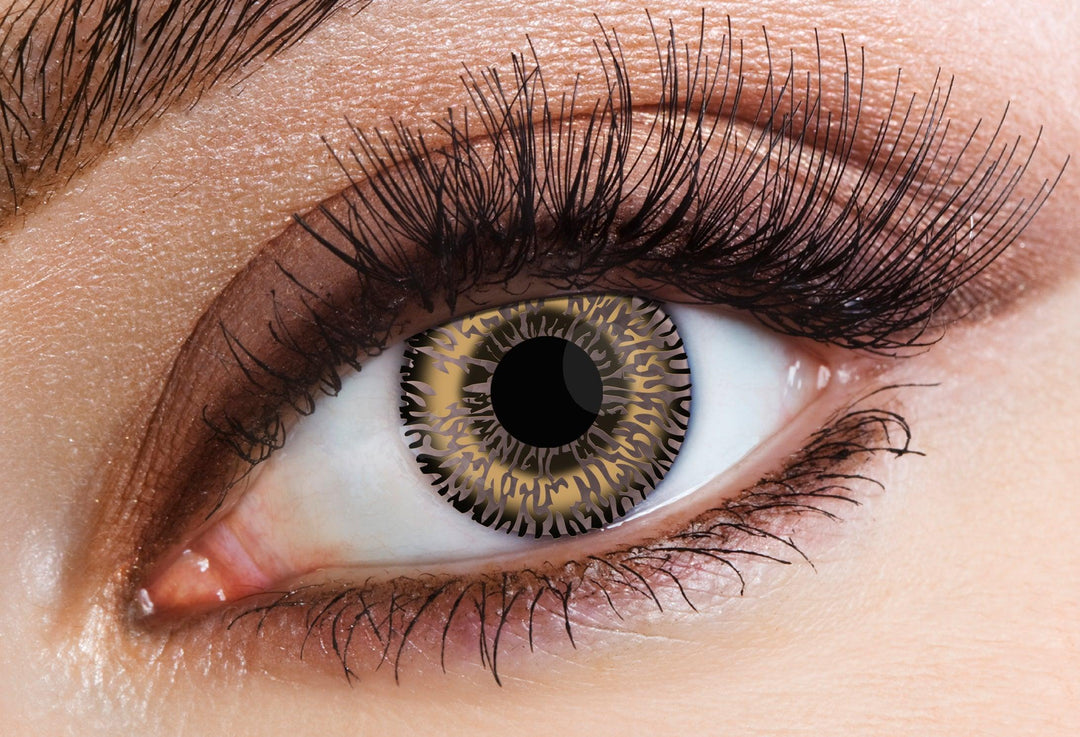 Two Tone Hazel Eye Accessories
