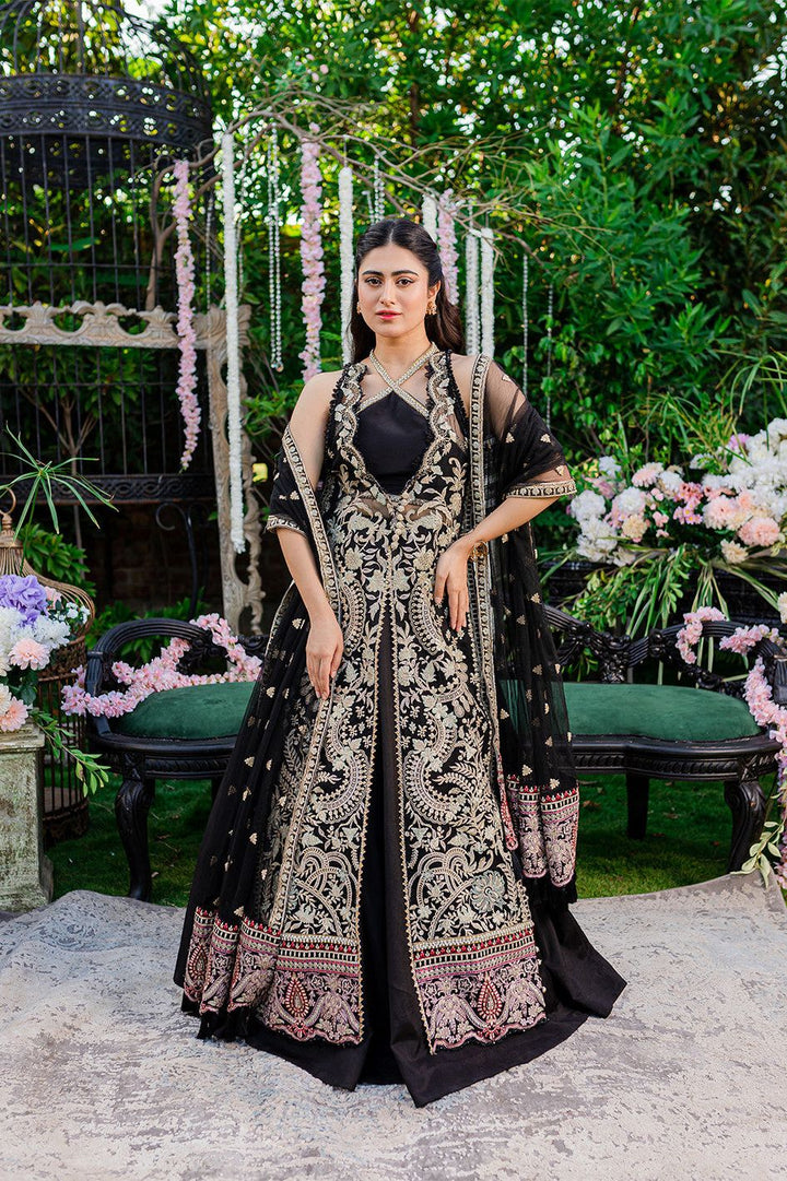Chiffon Black 3 Piece Suit - Raqsam