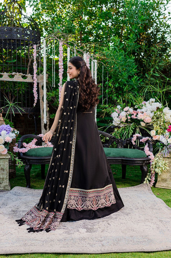 Chiffon Black 3 Piece Suit - Raqsam