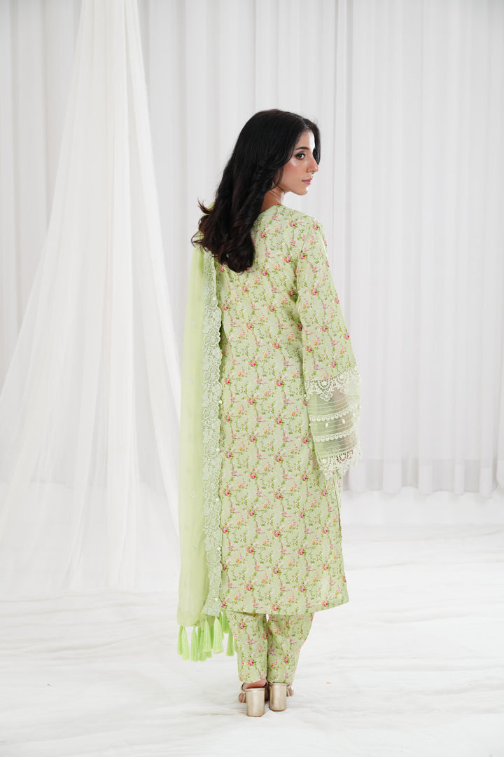 Embroidered Printed Cambric Mint Green Stitched Suit - Nishat