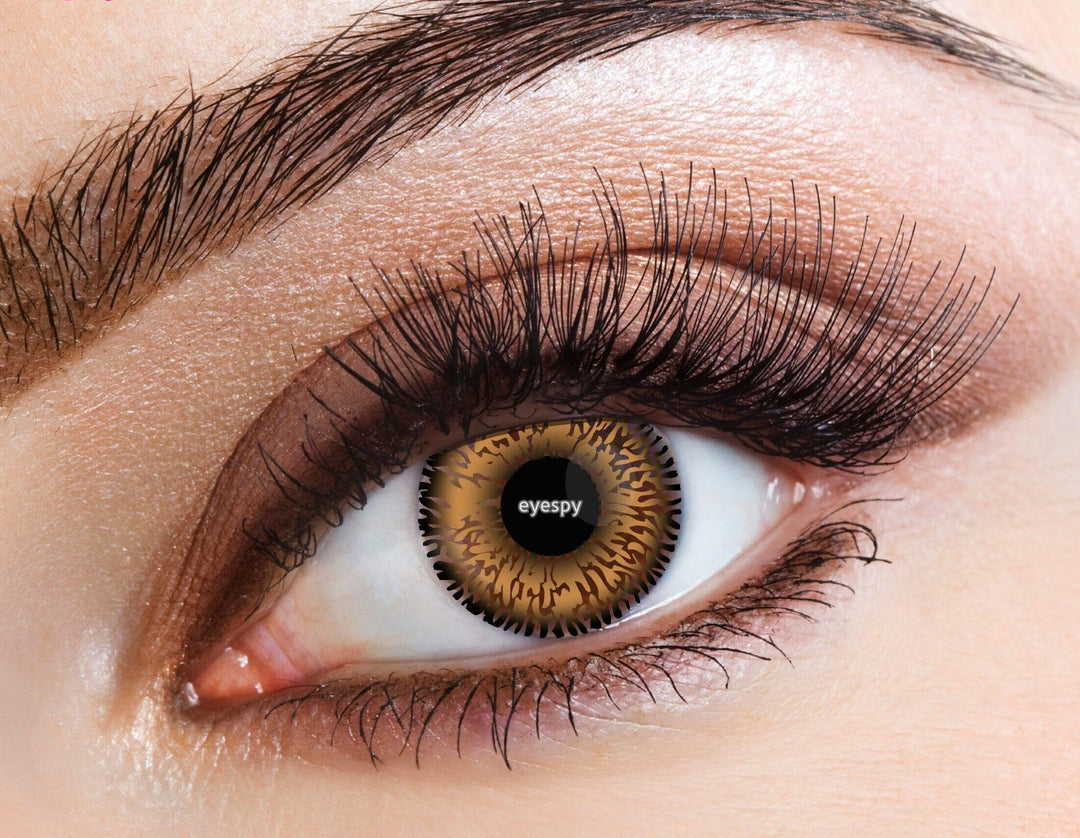 Two Tone Honey Eye Accessories