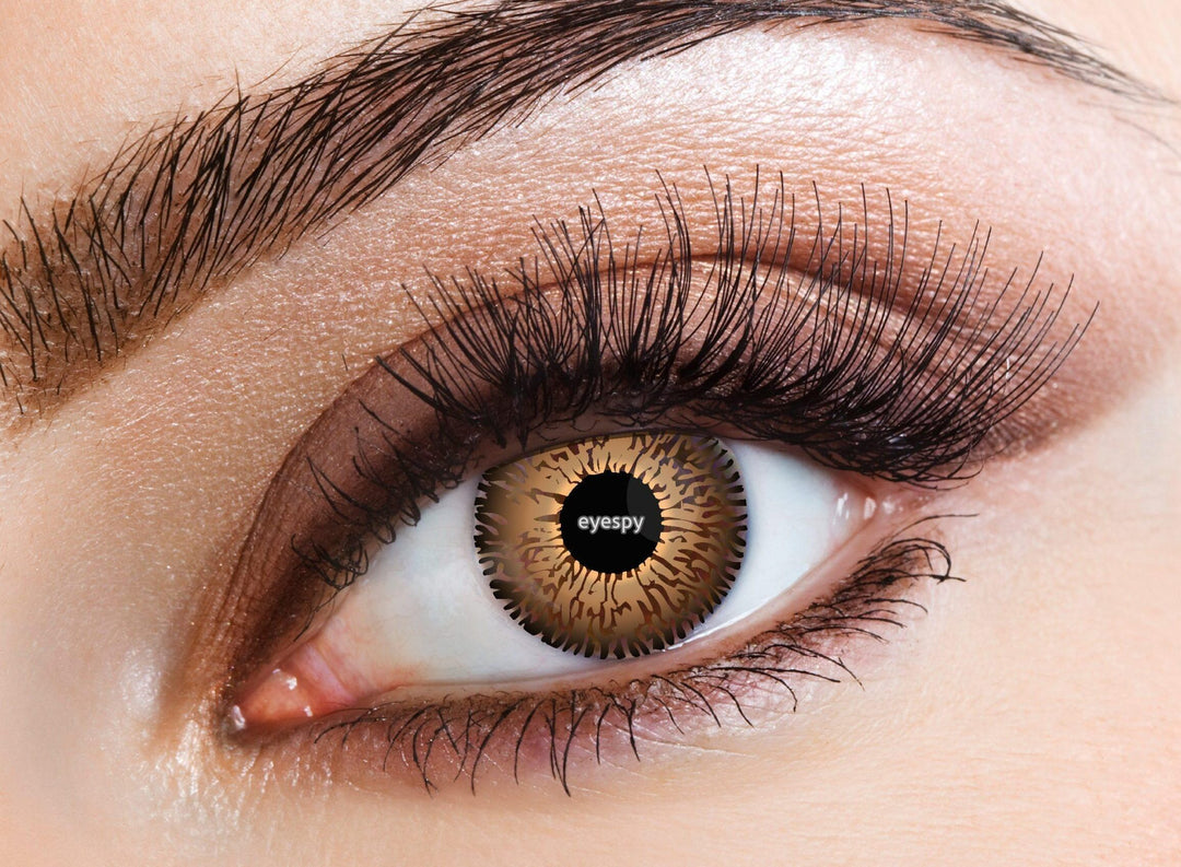 Three Tone Honey Eye Accessories