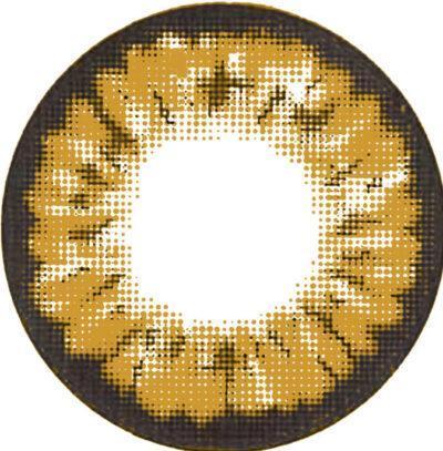 Two Tone Brown Eye Accessories