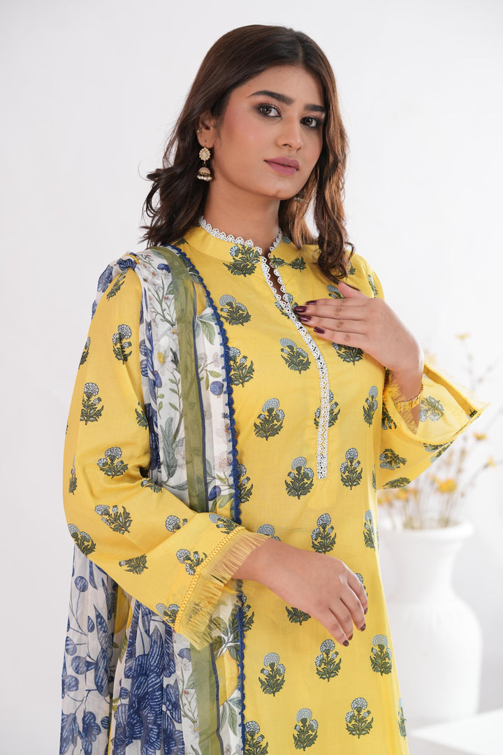 Zofi-4A | Zara Shahjahan Stitched - Coco Prints Edit III