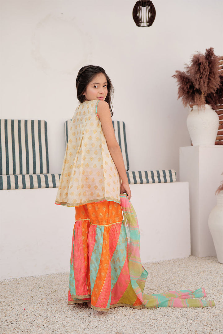 Tussar Silk Fawn Stitched Suit - Senorita