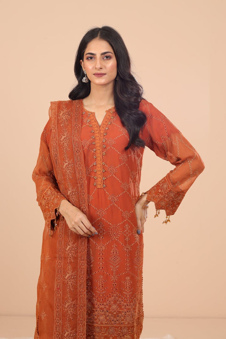 Larisa 3 Piece Suit Dhaagay Vol 2 - Alizeh