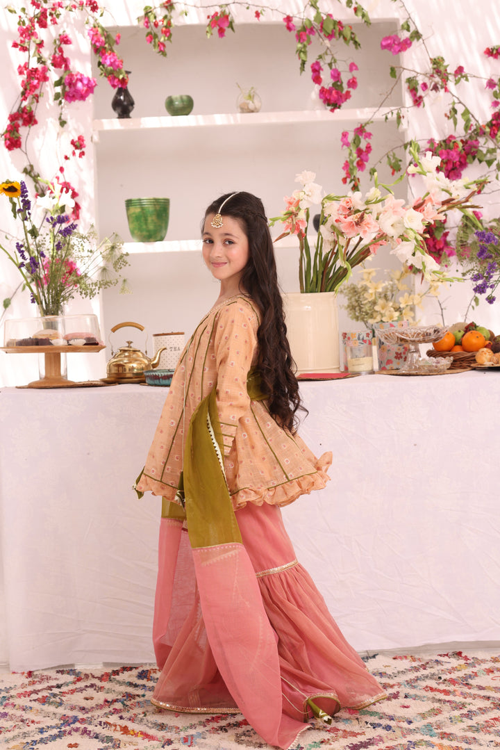 Cotton Lorex & Mesuri Gharara Suit Peach Pink - Sana's
