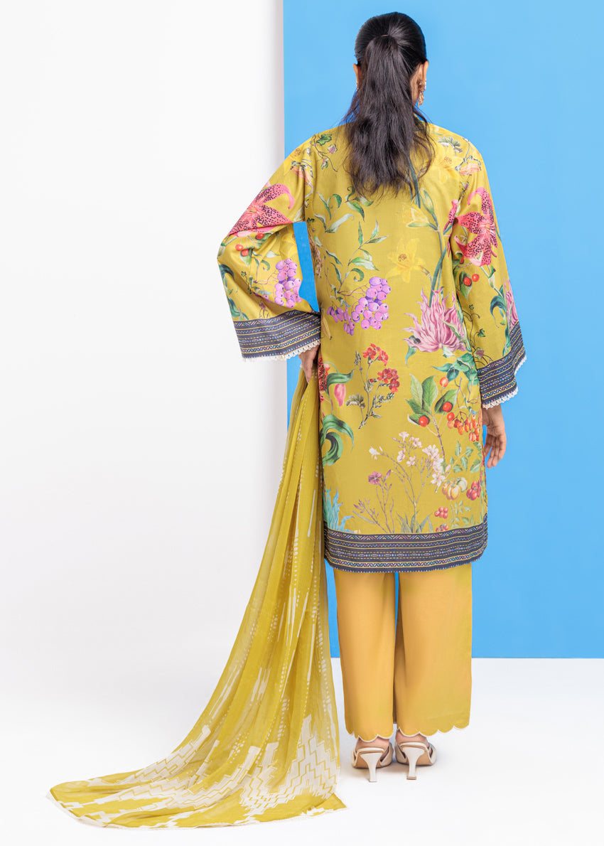 Cambric Olive Stitched Suit - Bonanza