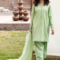 Raw Silk Mint Green Stitched Suit - Charizma