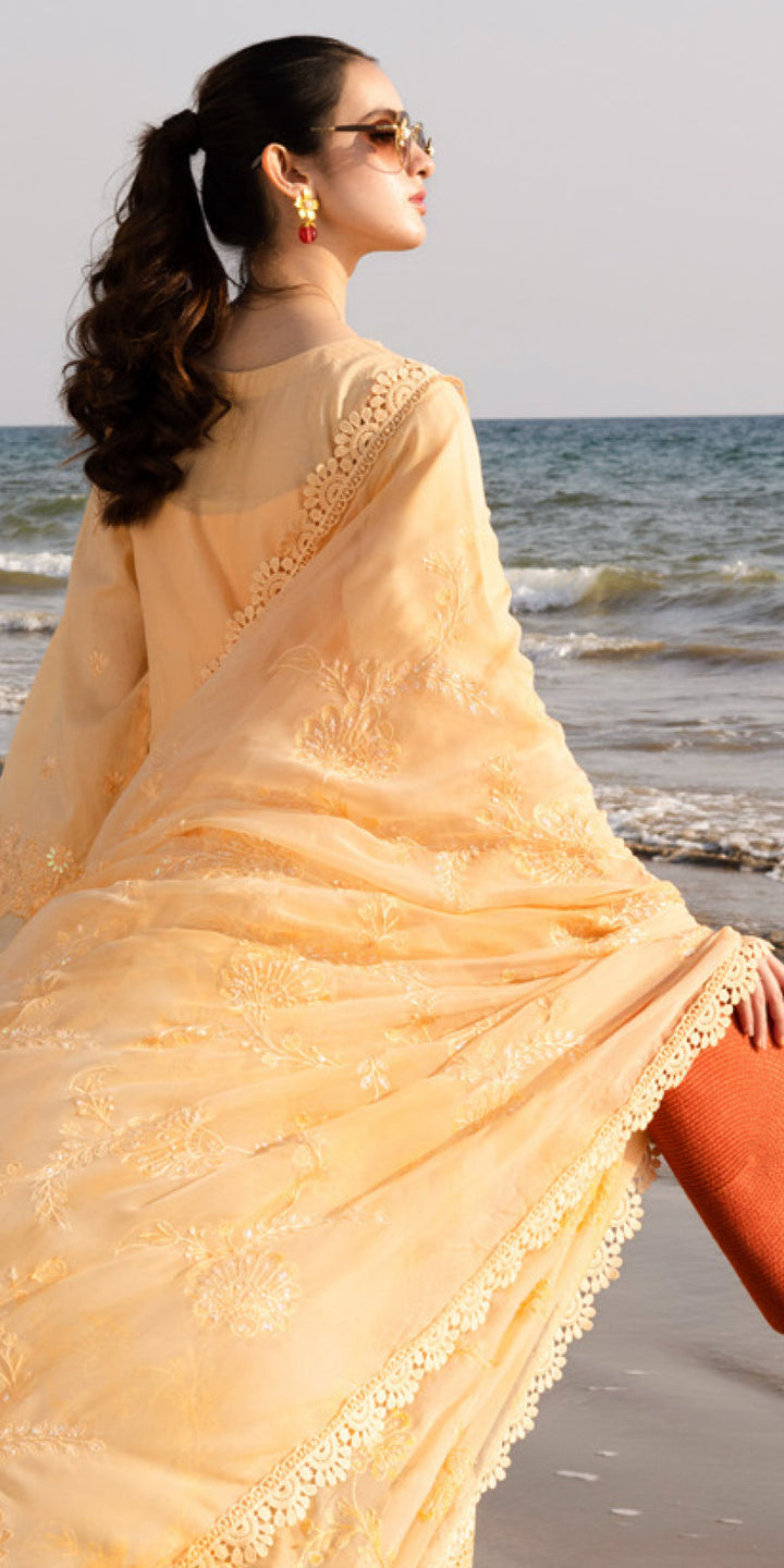 Chikankari Lawn Beige Stitched Suit - Nureh
