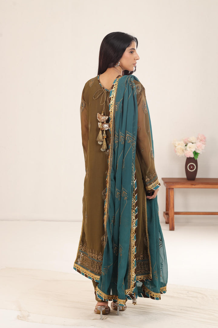Design 16 - Asim Jofa Dastaan Collection
