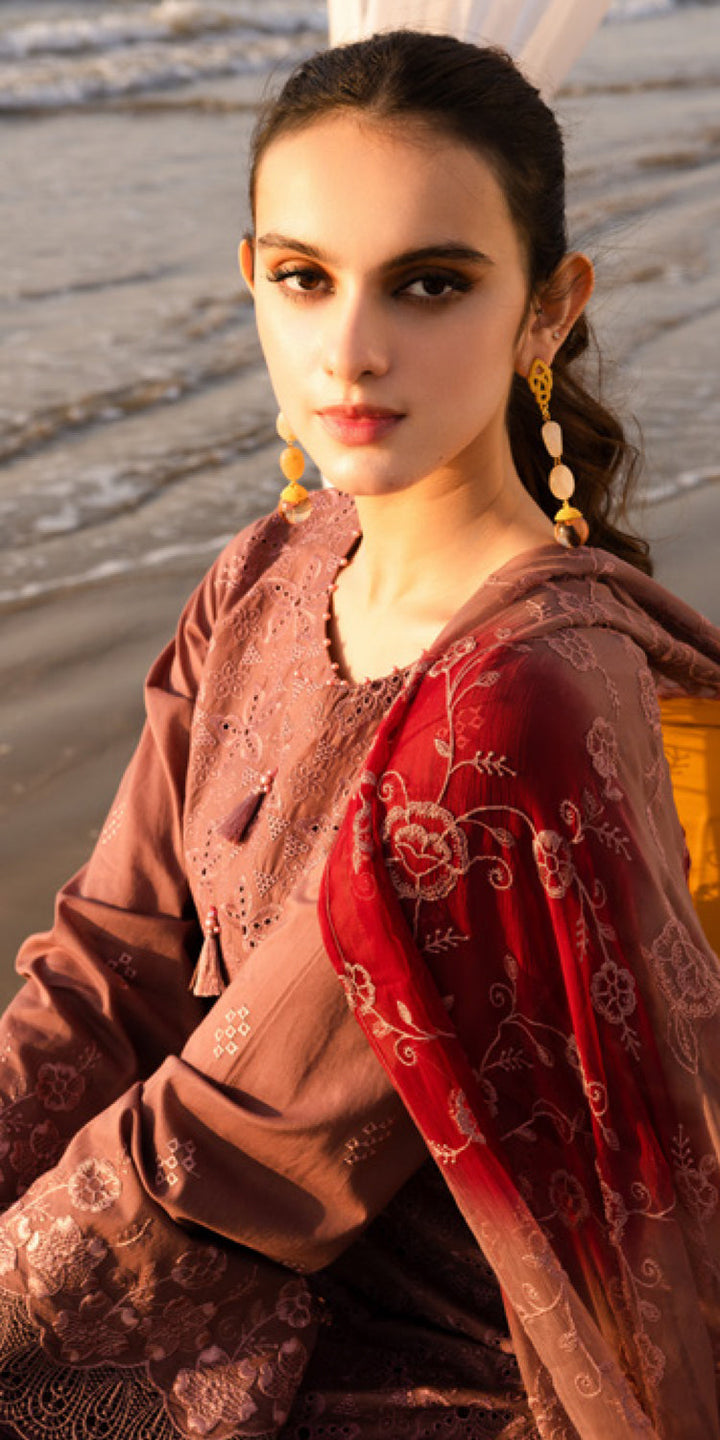 Chikankari Lawn Brown Stitched Suit - Nureh