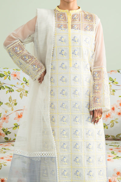 Organza & Raw Silk Off White Stitched Suit - Vanya