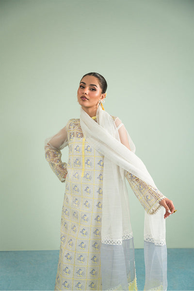 Organza & Raw Silk Off White Stitched Suit - Vanya