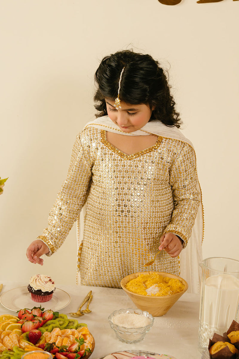 Chiffon & Raw Silk Off White Stitched Suit - Vanya