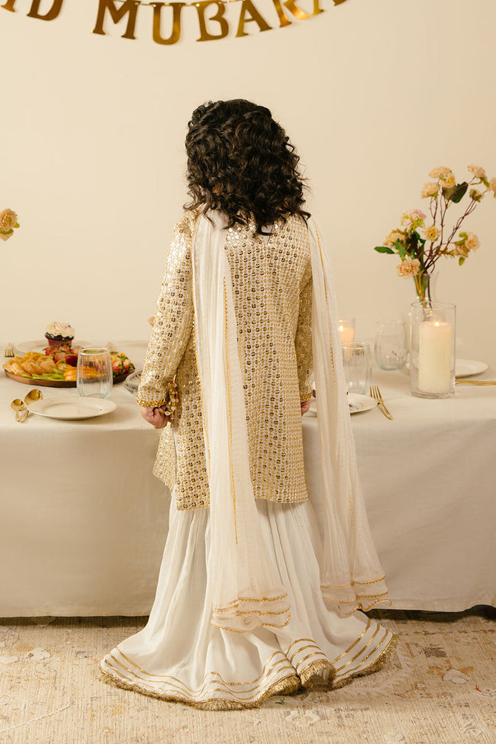 Chiffon & Raw Silk Off White Stitched Suit - Vanya