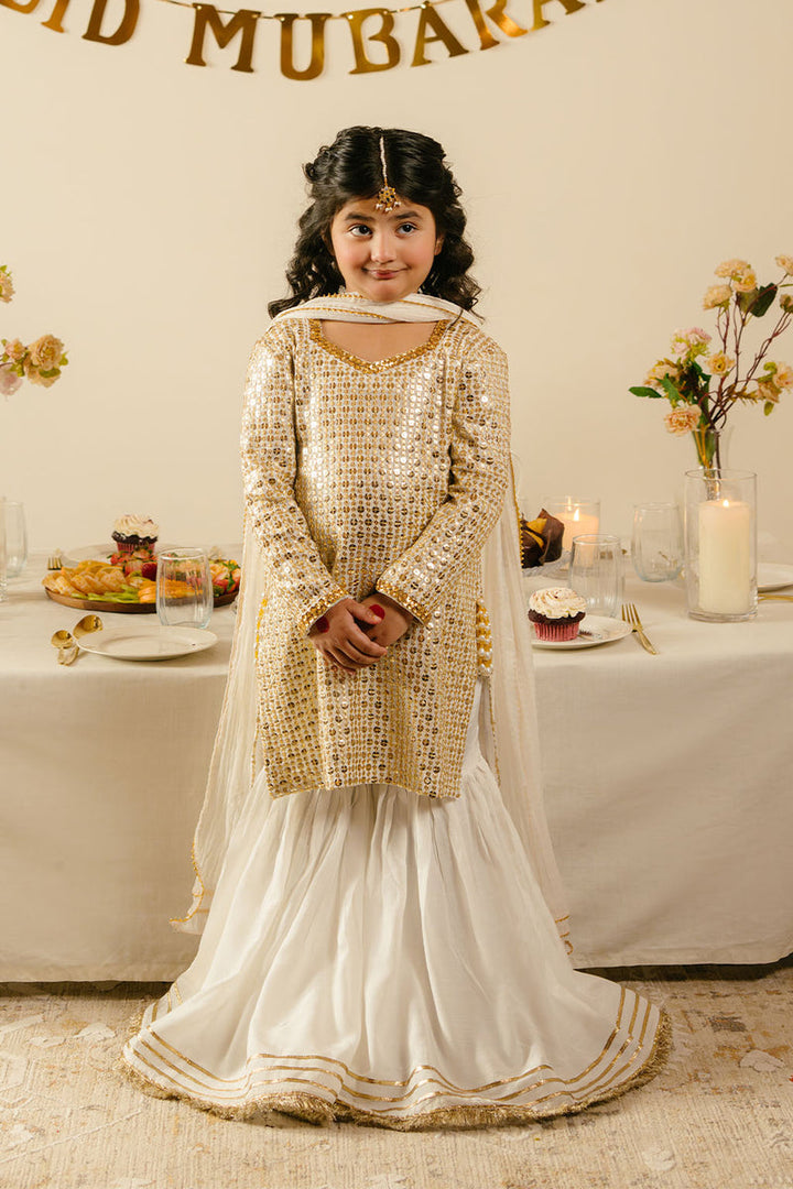 Chiffon & Raw Silk Off White Stitched Suit - Vanya