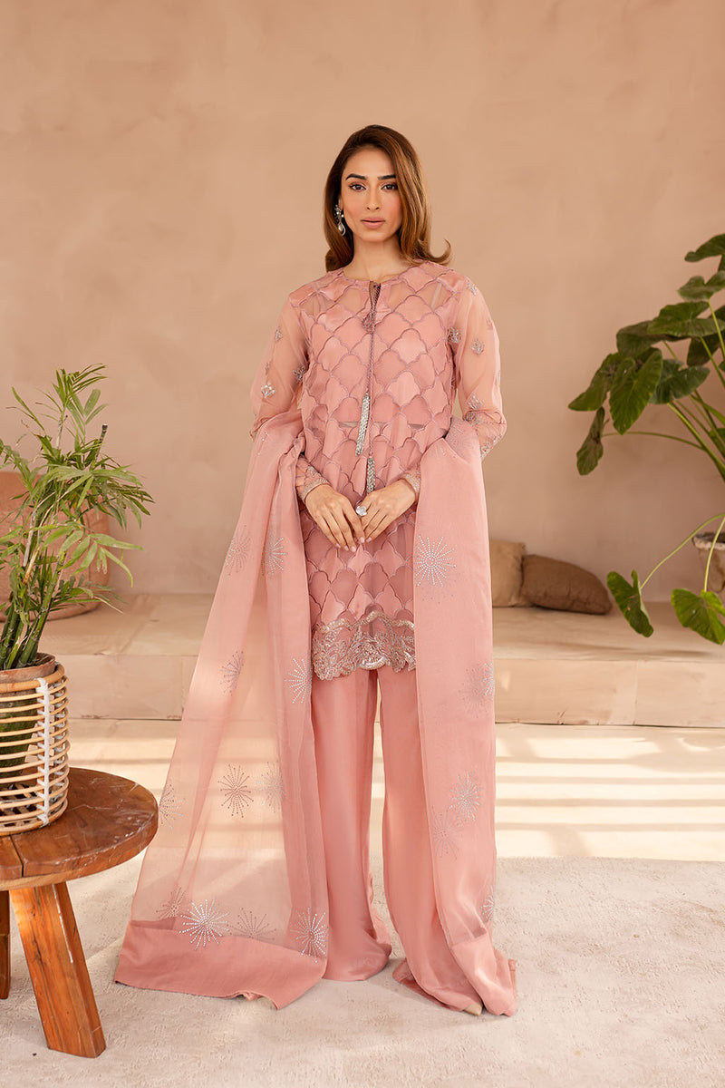 Silk & Organza Peach Stitched Suit - Vanya