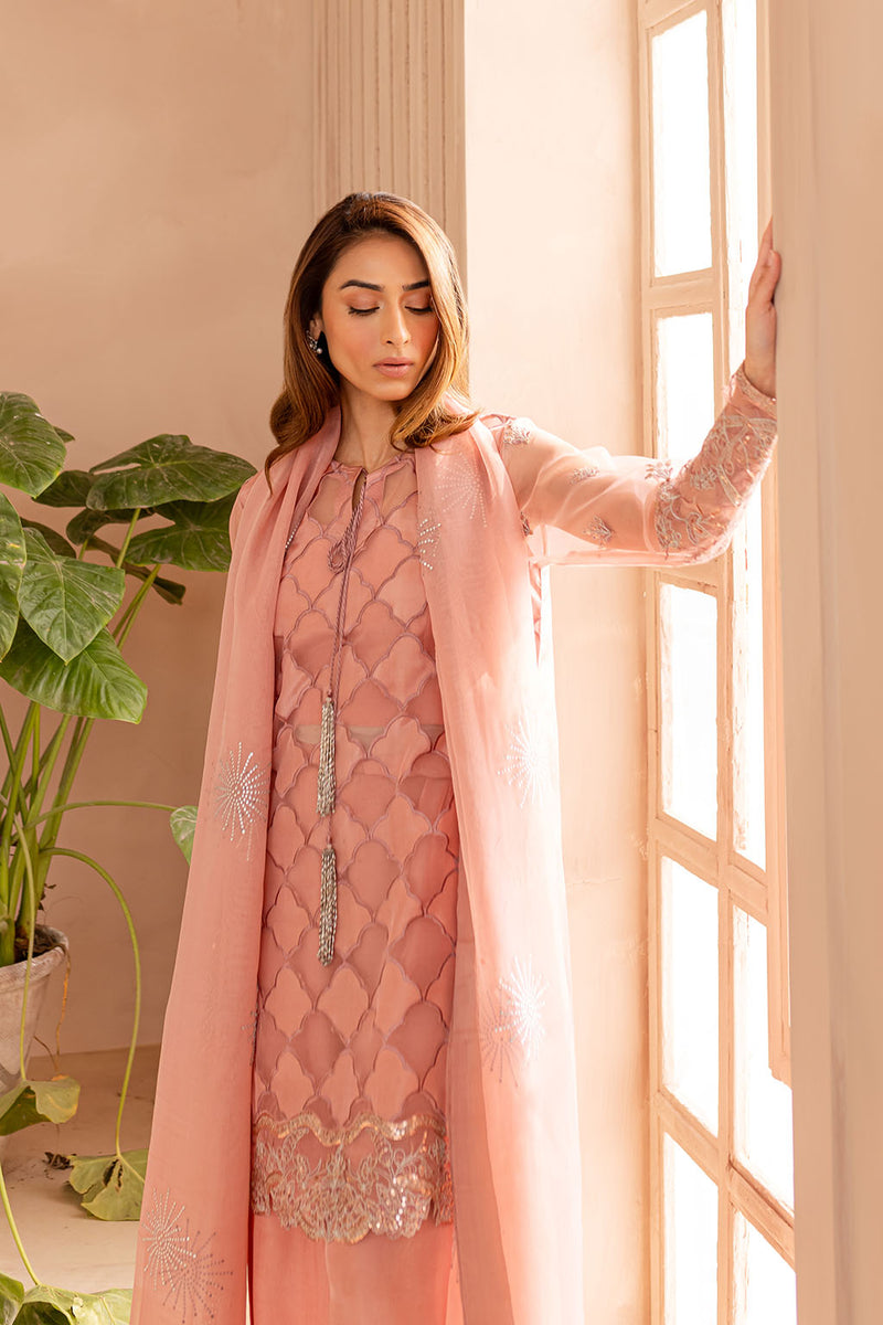 Silk & Organza Peach Stitched Suit - Vanya