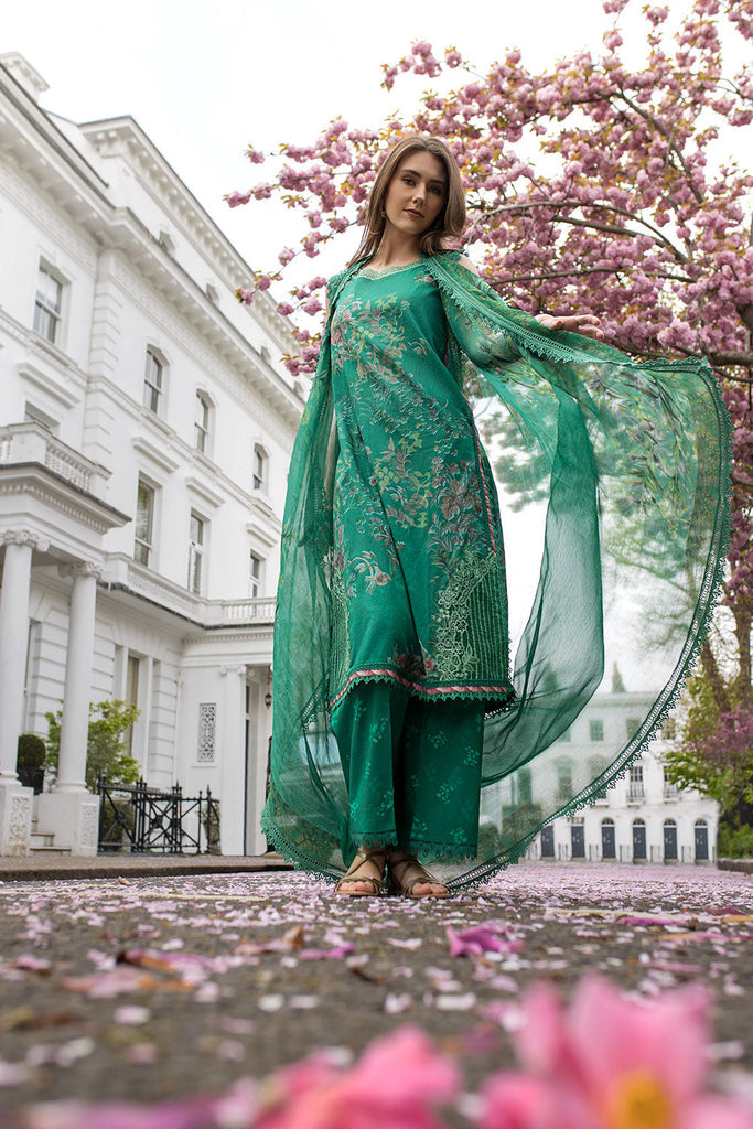 Design 5B - Sobia Nazir Basic Stitched