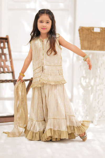 Banarsi Shimmer & Organza Tissue Fawn & Gold Stitched Suit - Senorita