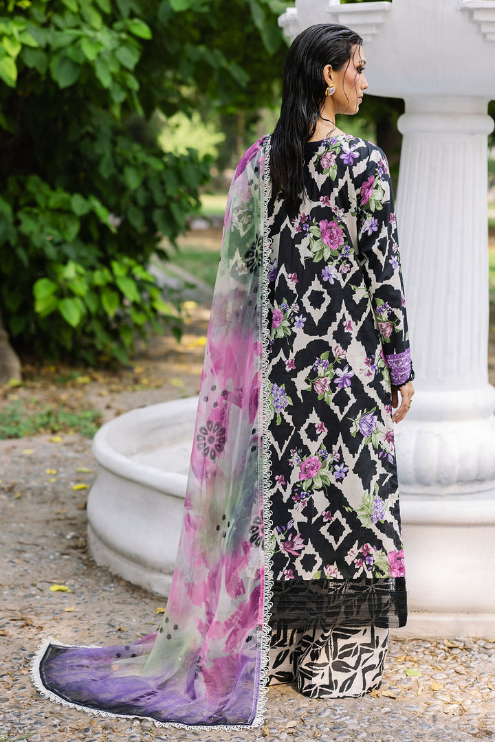 Design 5 - Nureh Daily Delight Lawn Stitched