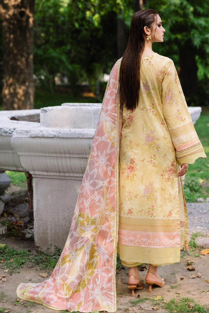 Design 4 - Nureh Daily Delight Lawn Stitched