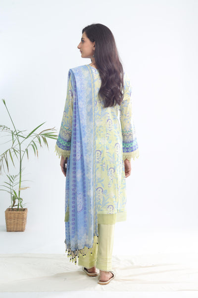 AF-119 -  Nureh Afreen Collection