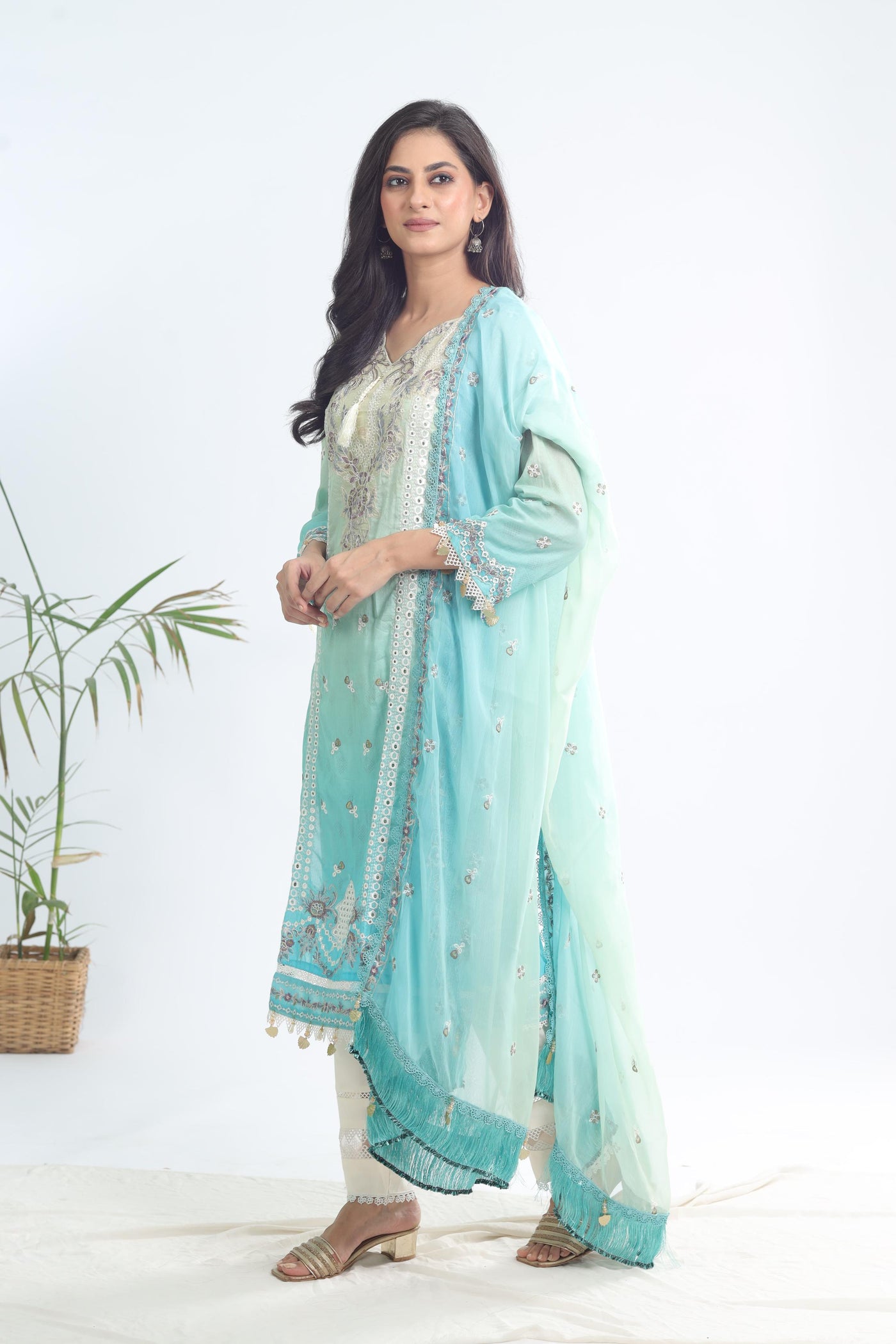 Zari - Alizeh Maahi Vol 2 Stitched