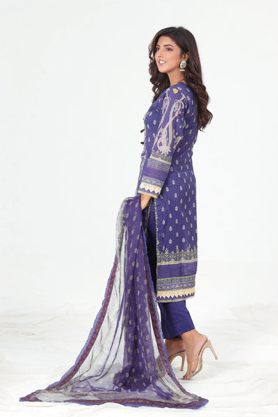 AJBP-04 - Asim Jofa Basic Print Suit