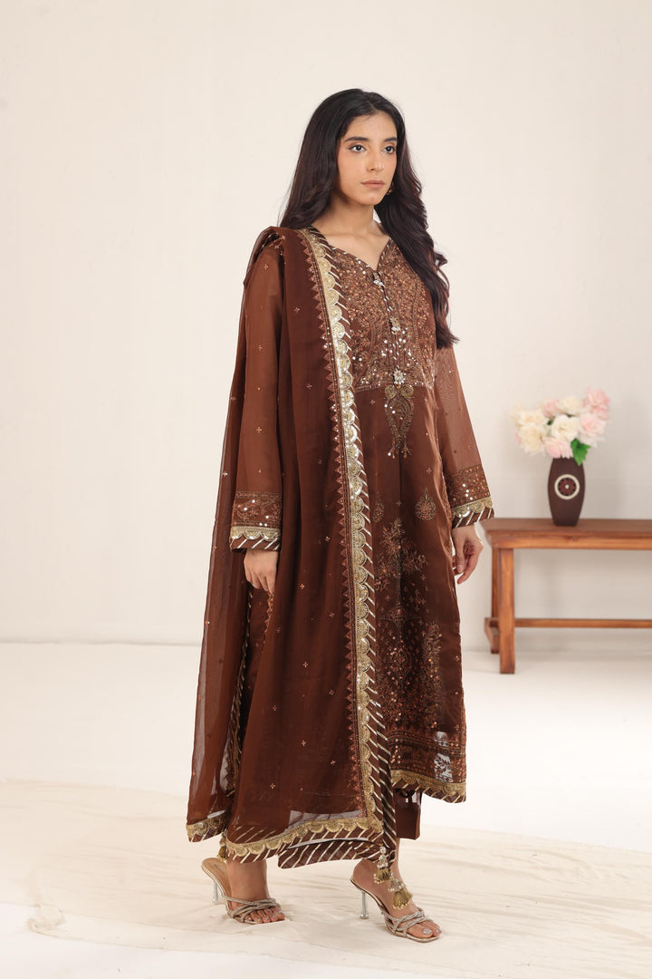 Design 11 - Asim Jofa Dastaan Collection