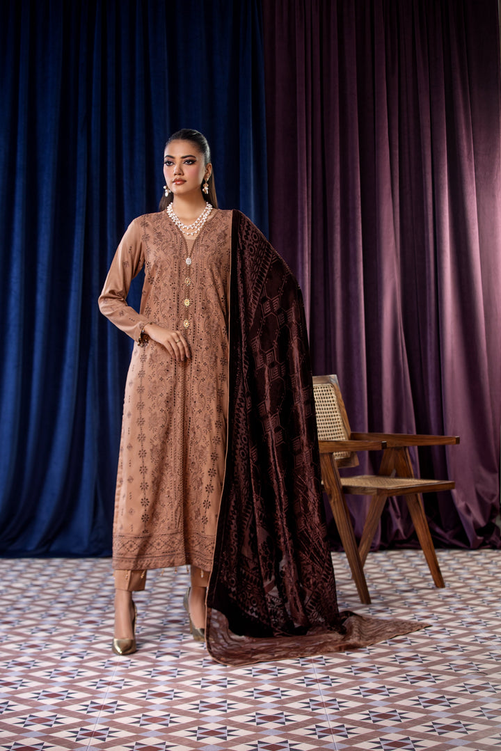 Embroidered Wool Brown Stitched Suit - Lala Brocade Vol I