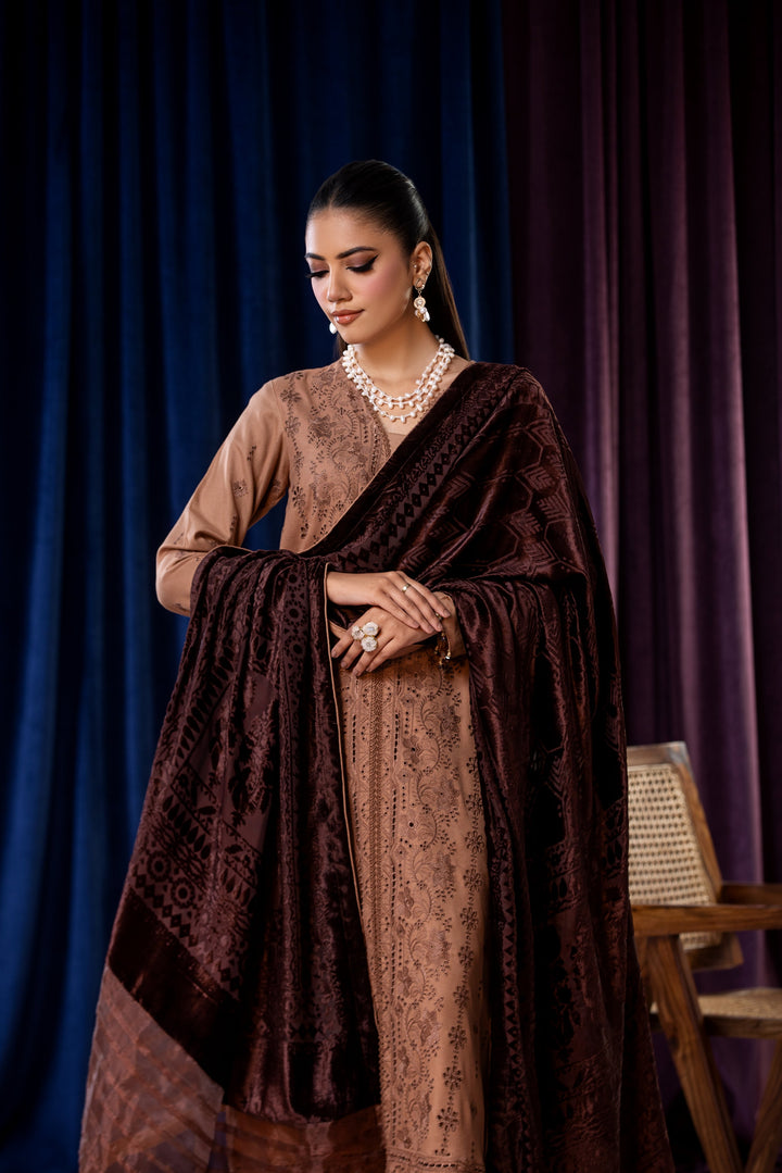 Embroidered Wool Brown Stitched Suit - Lala Brocade Vol I