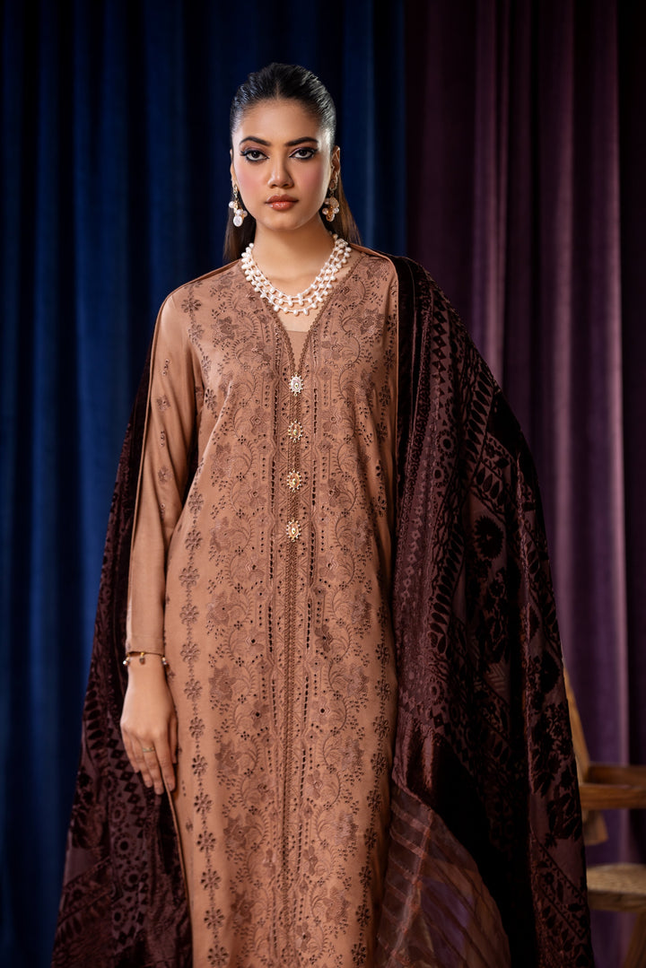 Embroidered Wool Brown Stitched Suit - Lala Brocade Vol I