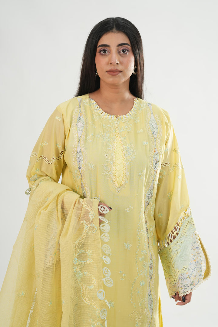 Ayla - Qalamkar Chikankari Eid Edit Stitched