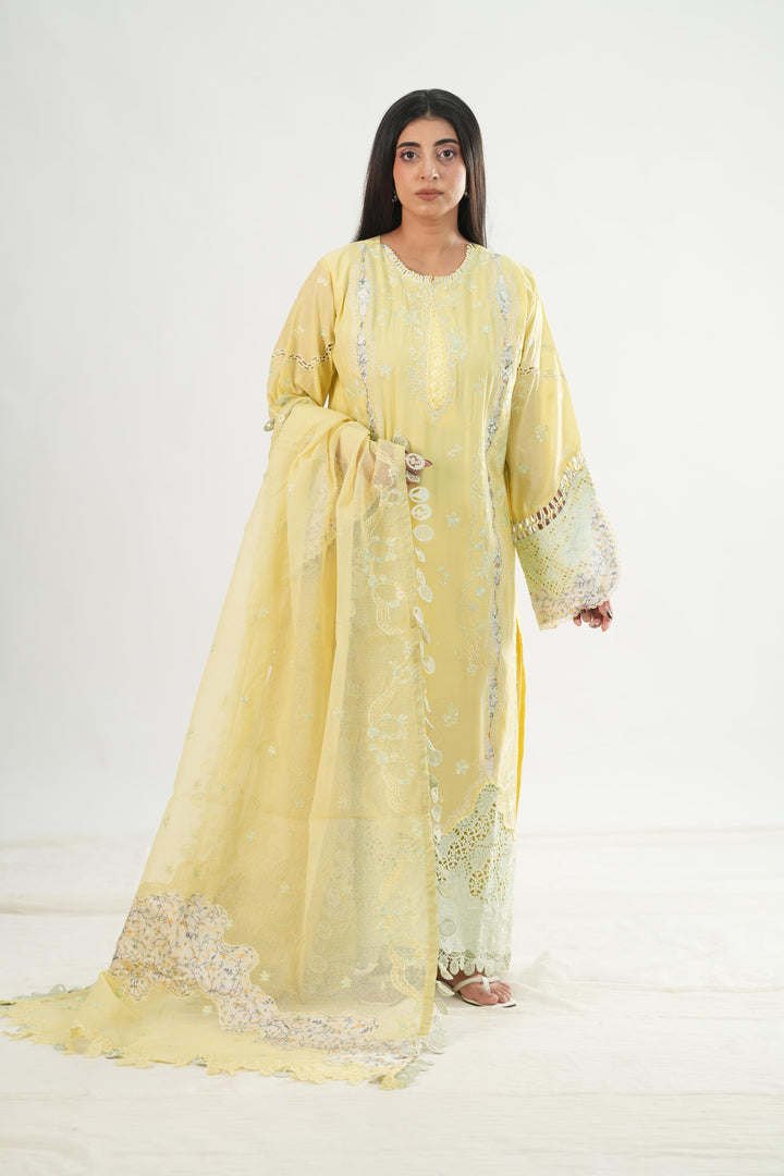 Ayla - Qalamkar Chikankari Eid Edit Stitched