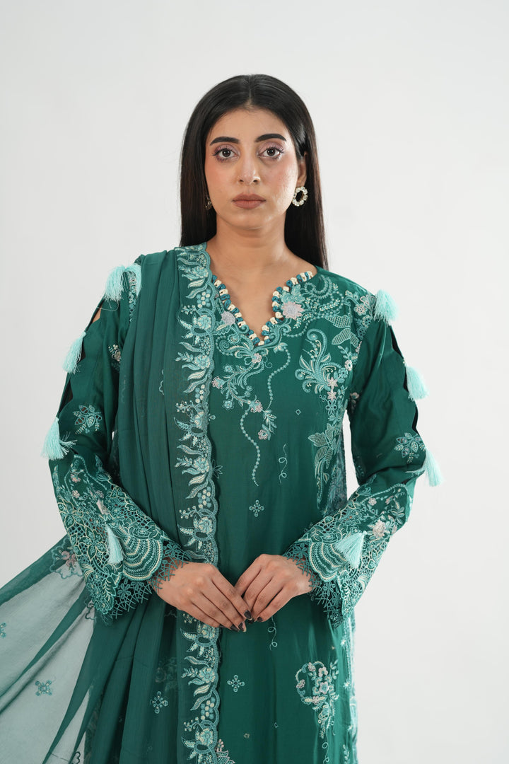 Rogue - Qalamkar Chikankari Eid Edit Stitched
