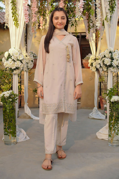 Chiffon Embroidered Beige Stitched Suit - Ochre