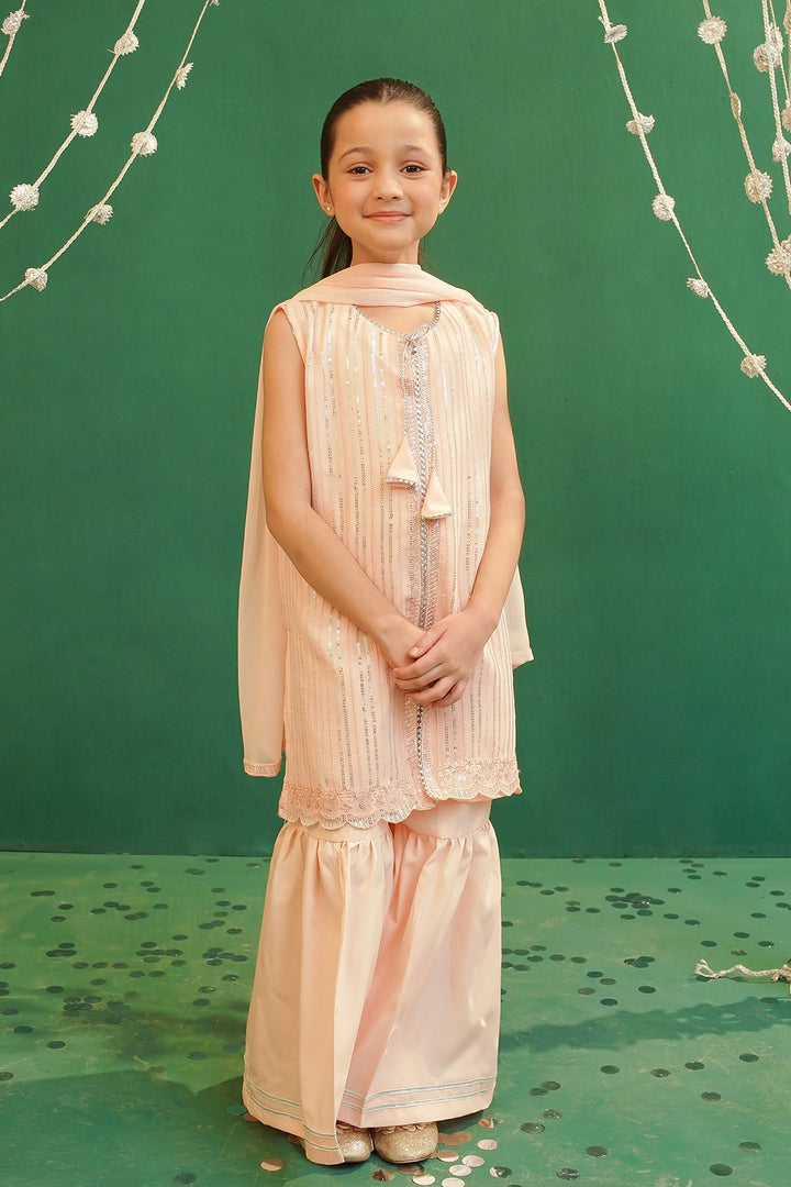 Chiffon Embroidered Peach Stitched Suit - Ochre