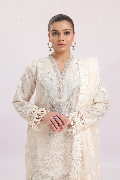 Embroidered Organza Grey Stitched Suit - Maria B Luxury Lawn
