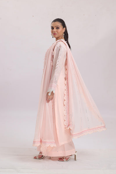 Embroidered Net Pink Stitched Suit - Maria B Luxury Lawn