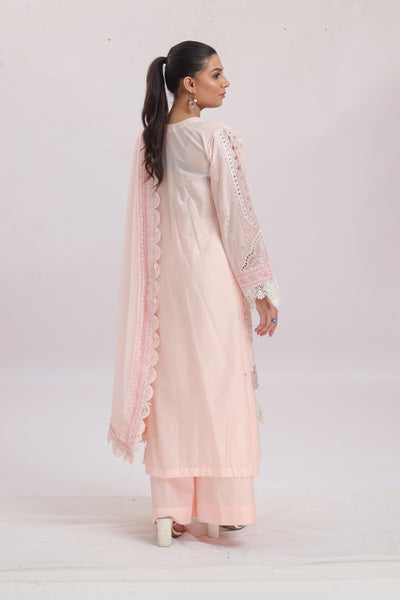 Embroidered Net Pink Stitched Suit - Maria B Luxury Lawn