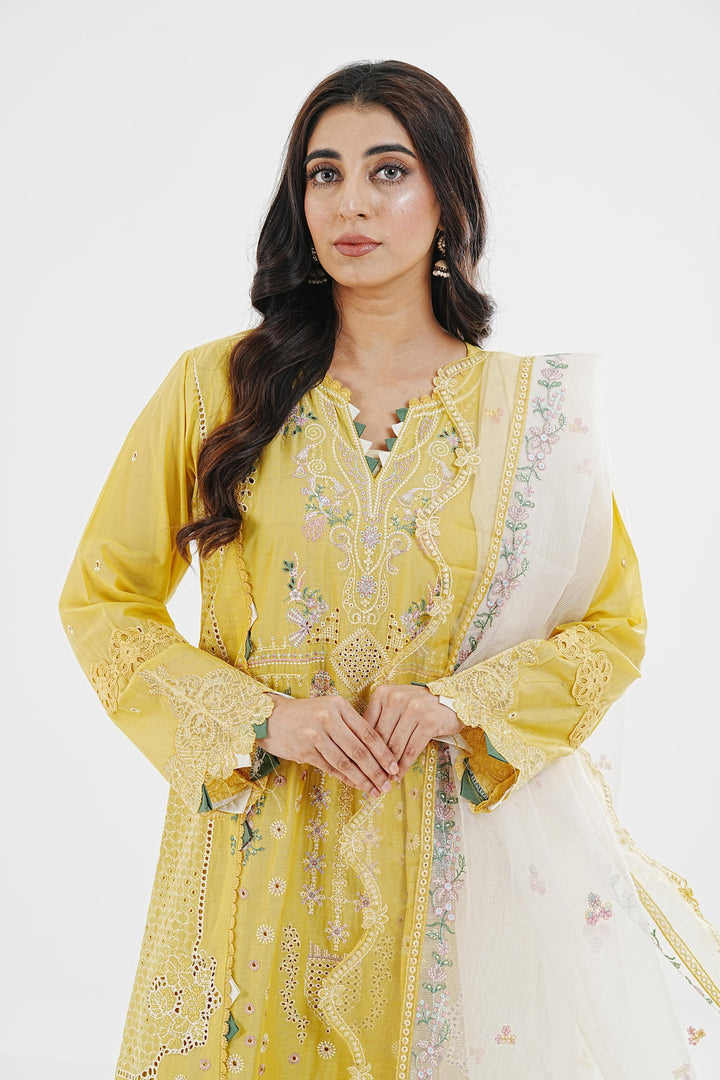 Enya - Qalamkar Qlinekari Lawn Stitched