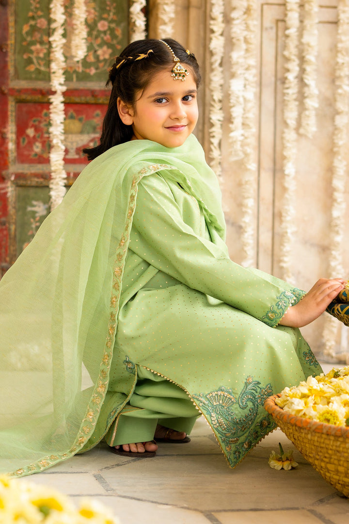 Raw Silk Mint Green Stitched Suit - Charizma