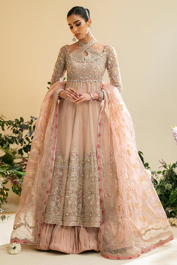 Zunia - Nyra Luxury Formal Embroidery Collection