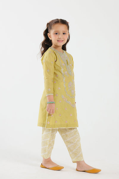 Lawn Dhani Stitched Suit - Ethnic