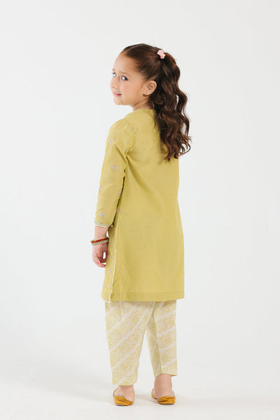 Lawn Dhani Stitched Suit - Ethnic