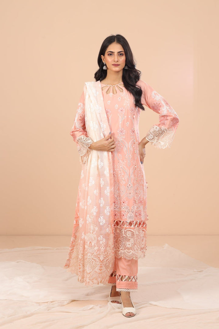 Cindrella 3 Piece Suit - Elaf Chikankari Collection